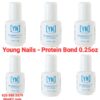 Young Nails - Protein Bond 0.25oz 12pcs/case $9/pcs